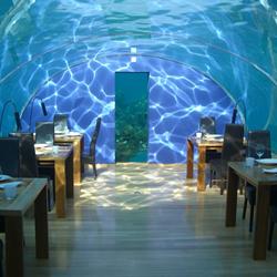 Click to view album: Undersea restaurant