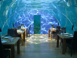 Undersea Restaurant Maldives Hilton