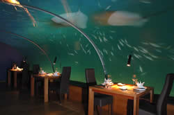 Undersea restaurant Maldives