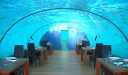 Underwater restaurant by Mike Murphy